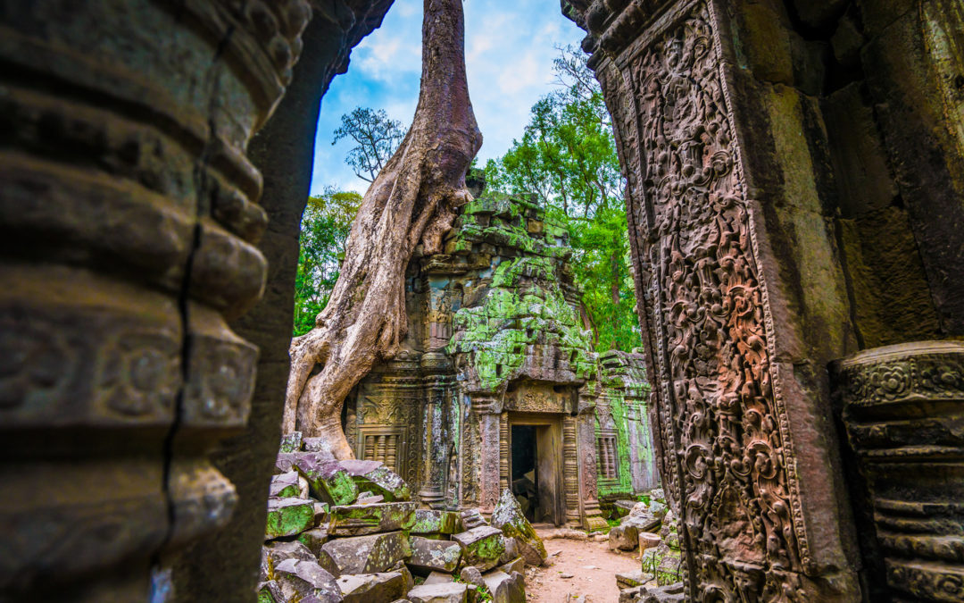 ta prohm angkor temple